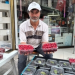 KIRAÇ ARAZİLERİ ARONYA VE AHUDUDUGİL YETİŞTİREREK DEĞERLENDİRDİ