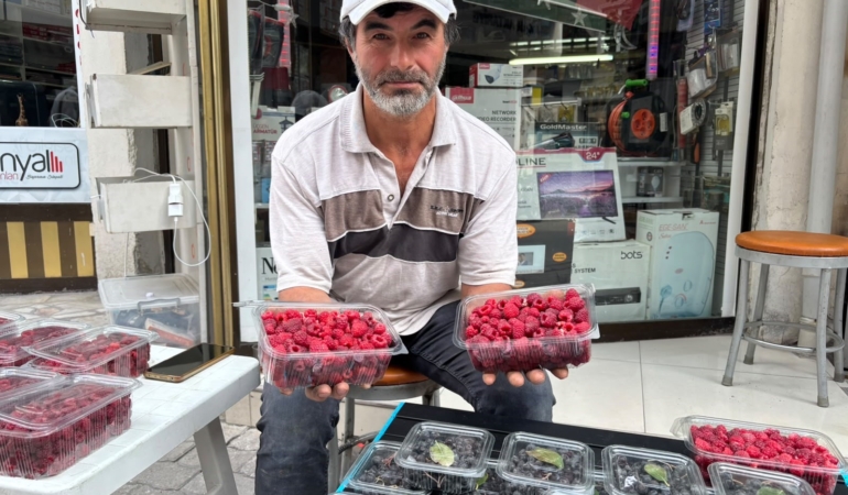KIRAÇ ARAZİLERİ ARONYA VE AHUDUDUGİL YETİŞTİREREK DEĞERLENDİRDİ