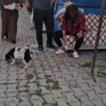 KONTEYNER KENTTE İMAM NİKAHLI KOCA DEHŞETİ: KARISI VE KIZIYLA BİRLİKTE TOPLAM 4 KİŞİYİ PALAYLA YARALADI