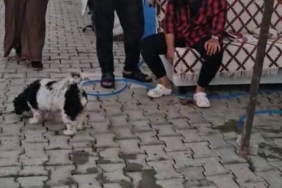 KONTEYNER KENTTE İMAM NİKAHLI KOCA DEHŞETİ: KARISI VE KIZIYLA BİRLİKTE TOPLAM 4 KİŞİYİ PALAYLA YARALADI