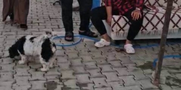 KONTEYNER KENTTE İMAM NİKAHLI KOCA DEHŞETİ: KARISI VE KIZIYLA BİRLİKTE TOPLAM 4 KİŞİYİ PALAYLA YARALADI