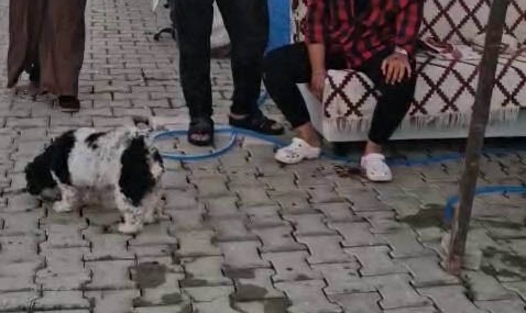 KONTEYNER KENTTE İMAM NİKAHLI KOCA DEHŞETİ: KARISI VE KIZIYLA BİRLİKTE TOPLAM 4 KİŞİYİ PALAYLA YARALADI