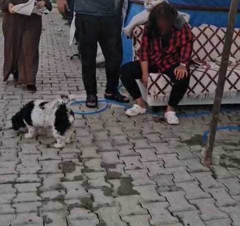 KONTEYNER KENTTE İMAM NİKAHLI KOCA DEHŞETİ: KARISI VE KIZIYLA BİRLİKTE TOPLAM 4 KİŞİYİ PALAYLA YARALADI