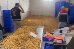 KÖŞK'TE 20 MİLYON TL DEĞERİNDE 25 TON ETİKETSİZ KURU İNCİR ELE GEÇİRİLDİ