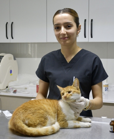 KUŞADASI'NDA 1 YILDA BİN 539 SOKAK KEDİSİ ÜCRETSİZ KISIRLAŞTIRILDI
