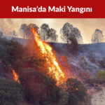 Manisa’da Maki Yangını 30 Dönümlük Alan Zarar Gördü