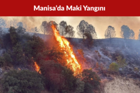 Manisa’da Maki Yangını 30 Dönümlük Alan Zarar Gördü