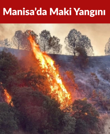 Manisa’da Maki Yangını 30 Dönümlük Alan Zarar Gördü