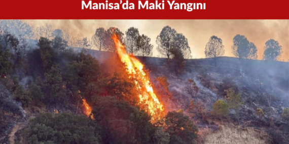 Manisa’da Maki Yangını 30 Dönümlük Alan Zarar Gördü