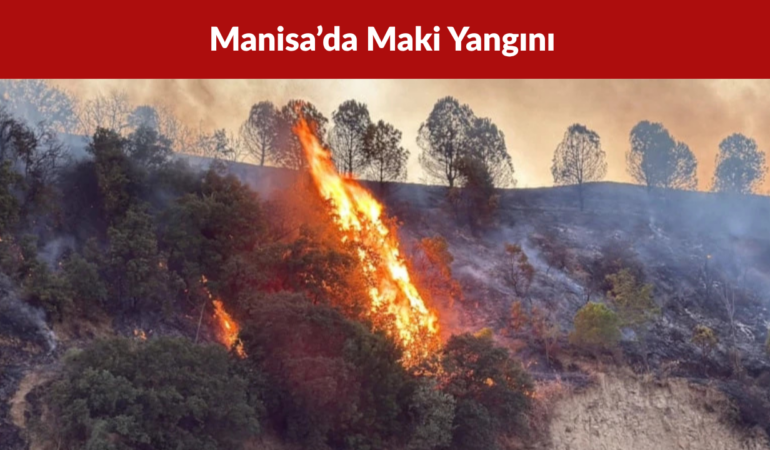 Manisa’da Maki Yangını 30 Dönümlük Alan Zarar Gördü