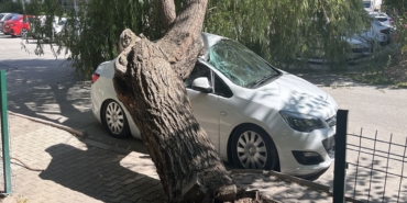 NİĞDE'DE PARK HALİNDEKİ OTOMOBİLİN ÜZERİNE AĞAÇ DEVRİLDİ