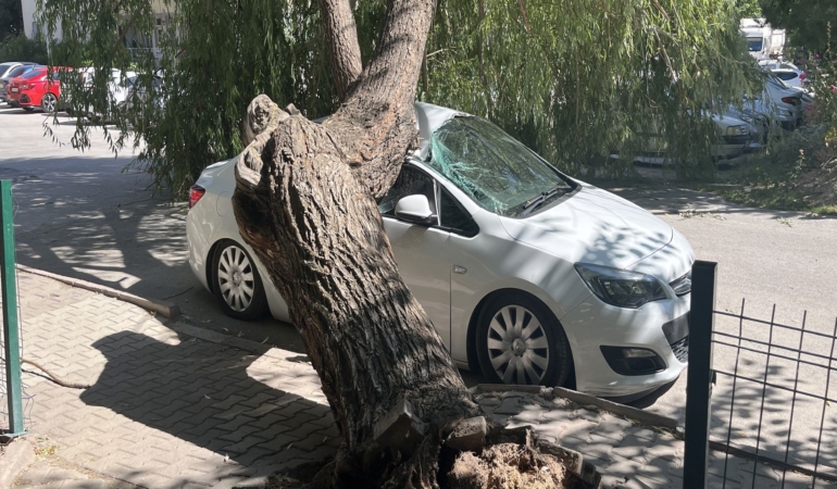 NİĞDE'DE PARK HALİNDEKİ OTOMOBİLİN ÜZERİNE AĞAÇ DEVRİLDİ