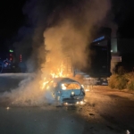 OTOMOBİL İLE BÜYÜKBAŞ HAYVAN YÜKLÜ TIRIN ÇARPIŞMASI SONUCU YANGIN ÇIKTI, 4 HAYVAN TELEF OLDU