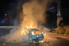 OTOMOBİL İLE BÜYÜKBAŞ HAYVAN YÜKLÜ TIRIN ÇARPIŞMASI SONUCU YANGIN ÇIKTI, 4 HAYVAN TELEF OLDU