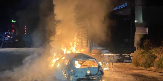 OTOMOBİL İLE BÜYÜKBAŞ HAYVAN YÜKLÜ TIRIN ÇARPIŞMASI SONUCU YANGIN ÇIKTI, 4 HAYVAN TELEF OLDU
