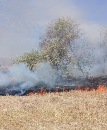 SARAYKENT'TE 150 DÖNÜM ARAZİ YANDI