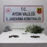 SÖKE'DE NARKOTİK KÖPEĞİ DESTEKLİ OPERASYONDA UYUŞTURUCU MADDE ELE GEÇİRİLDİ