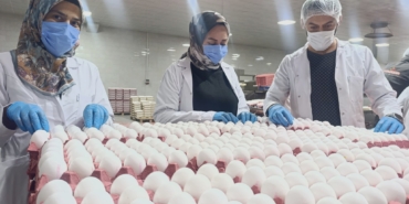YUMURTA FİYATLARINA KISA VADEDE ZAM BEKLENMİYOR SURİYE'YE YUMURTA İHRACATI İÇİN GÜN SAYILIYOR