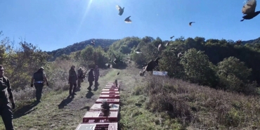 ZONGULDAK'TA YABAN HAYATINI DESTEKLEMEK İÇİN SÜLÜNLER DOĞAYA SALINDI