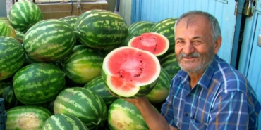 ARABAN OVASI'NDA İKİNCİ ÜRÜN GÜZ KARPUZU HASADI DEVAM EDİYOR