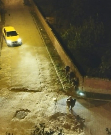 AYDIN MERKEZLİ 3 İLDE, 63 ADRESE UYUŞTURUCU OPERASYONU
