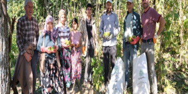 AYDIN'DA KESTANE HASADI BAŞLADI