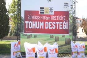 BAŞKAN ALTAY: "ÜRETİCİLERİMİZE BUGÜNE KADAR 1 MİLYON 214 BİN KİLOGRAM HİBE DESTEKLİ MACAR FİĞİ TOHUMU VERDİK"