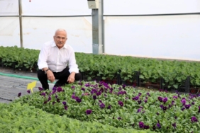 BAŞKAN GÜLER: "KENDİ ÇİÇEKLERİMİZİ ÜRETİP, EKONOMİMİZE KATKI SAĞLIYORUZ"