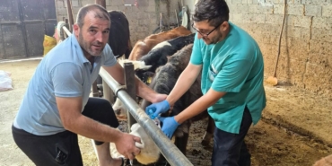 BEYŞEHİR'DE ŞAP AŞISI MESAİSİ SÜRÜYOR