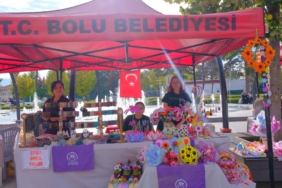 BOLU'DA KADINLARIN EL EMEĞİ ÜRÜNLERİ GÖRÜCÜYE ÇIKTI