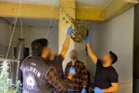 BURSA'DA KASAP DÜKKANINI KENEVİR SERASINA ÇEVİRDİ UYUŞTURUCU ÜRETİM TESİSİNE BASKIN
