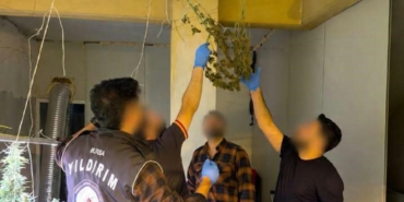 BURSA'DA KASAP DÜKKANINI KENEVİR SERASINA ÇEVİRDİ UYUŞTURUCU ÜRETİM TESİSİNE BASKIN