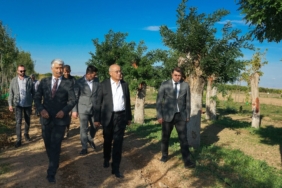 BÜYÜKŞEHİR'DEN YILDA 20 BİN FİDAN VE 50 BİN METREKARE RULO ÇİM ÜRETİMİ
