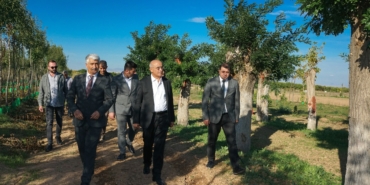 BÜYÜKŞEHİR'DEN YILDA 20 BİN FİDAN VE 50 BİN METREKARE RULO ÇİM ÜRETİMİ
