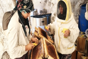 ÇAM BALININ BAŞKENTİ MUĞLA'DA GLİKOZLU BAL TEPKİSİ