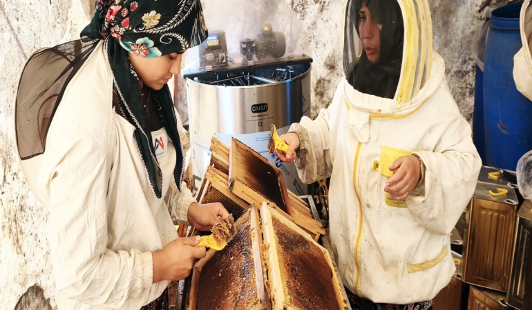 ÇAM BALININ BAŞKENTİ MUĞLA'DA GLİKOZLU BAL TEPKİSİ