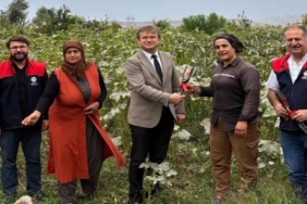 CİZRE'DE ALIN TERİ DÖKEN KADIN ÇİFTÇİLER UNUTULMADI