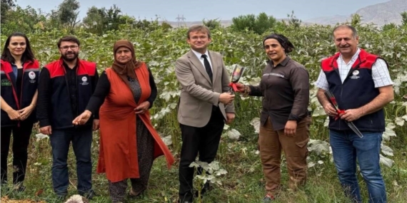 Cizre’de kadın çiftçilerin emeği Dünya Çiftçi Kadınlar Günü’nde hatırlandı