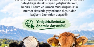 DENİZLİ'DE 2027 YILI BESİLİK SIĞIR İTHALATI BAŞVURULARI BAŞLADI
