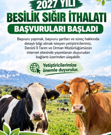 DENİZLİ'DE 2027 YILI BESİLİK SIĞIR İTHALATI BAŞVURULARI BAŞLADI