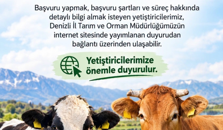 DENİZLİ'DE 2027 YILI BESİLİK SIĞIR İTHALATI BAŞVURULARI BAŞLADI