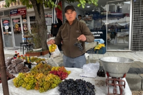 HAYDAR ÜZÜMLERİ TEZGAHLARDA YERİNİ ALDI