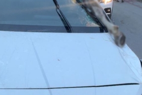İSTANBUL'DA KORKUNÇ KAZA: ATIN KOPAN BACAĞI OTOMOBİLE SAPLANDI ARNAVUTKÖY'DE OTOMOBİLİN ÇARPTIĞI AT 10 METRE SAVRULDU: 3 YARALI