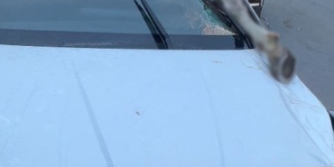 İSTANBUL'DA KORKUNÇ KAZA: ATIN KOPAN BACAĞI OTOMOBİLE SAPLANDI ARNAVUTKÖY'DE OTOMOBİLİN ÇARPTIĞI AT 10 METRE SAVRULDU: 3 YARALI