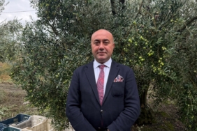 MARMARABİRLİK'TEN 60 BİN TONLUK ALIM PLANI...TÜRKİYE'DE ZEYTİNDE REKOR REKOLTE BEKLENTİSİ