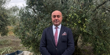 MARMARABİRLİK'TEN 60 BİN TONLUK ALIM PLANI...TÜRKİYE'DE ZEYTİNDE REKOR REKOLTE BEKLENTİSİ
