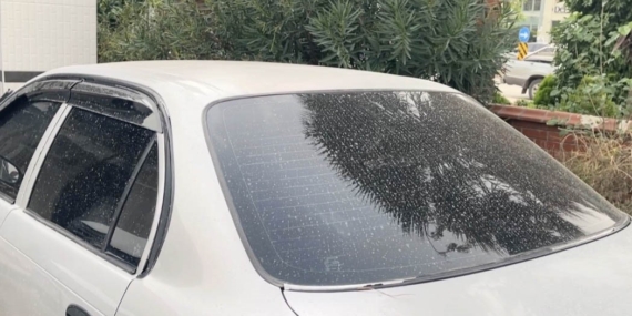 Osmaniye’de Suriye kaynaklı toz taşınımı: Gökyüzü pusla kaplandı