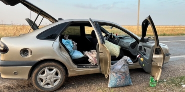 ŞANLIURFA'DA 4 FISTIK HIRSIZI SUÇÜSTÜ YAKALANDI
