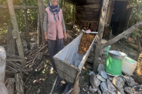 SIRRI MEŞE KÜLÜNDE SAKLI TOROSLAR'DA PEKMEZ MESAİSİ SONA ERDİ: 77 YAŞINDAKİ FATMA NİNE GELENEĞİ YAŞATIYOR EZİLEREK ELDE EDİLEN ŞIRA, MEŞE KÜLÜYLE KAYNATIYOR KİLOSU 500 LİRADAN SATILIYOR