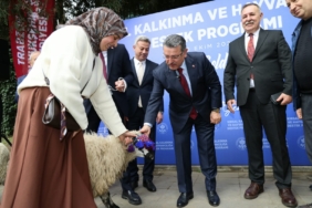 TRABZON'DA HAYVANCILIĞA DESTEK SÜRÜYOR MAÇKA İLÇESİNDE 36 YETİŞTİRİCİYE YÜZDE 90 HİBE DESTEĞİYLE 180 YERLİ KARAYAKA KOYUNU DAĞITILDI